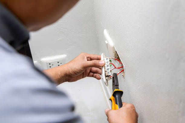 Best Local Electrician Companies  in Ramseur, NC