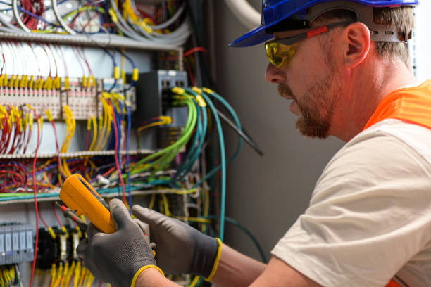 Best Electric Panel Repair  in Ramseur, NC